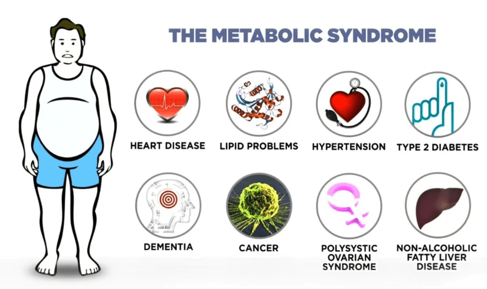Metabolic Syndrome: Causes, Risks, and Management